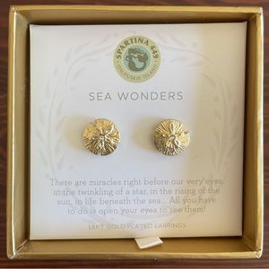 Sand dollar 18K gold plated earrings studs